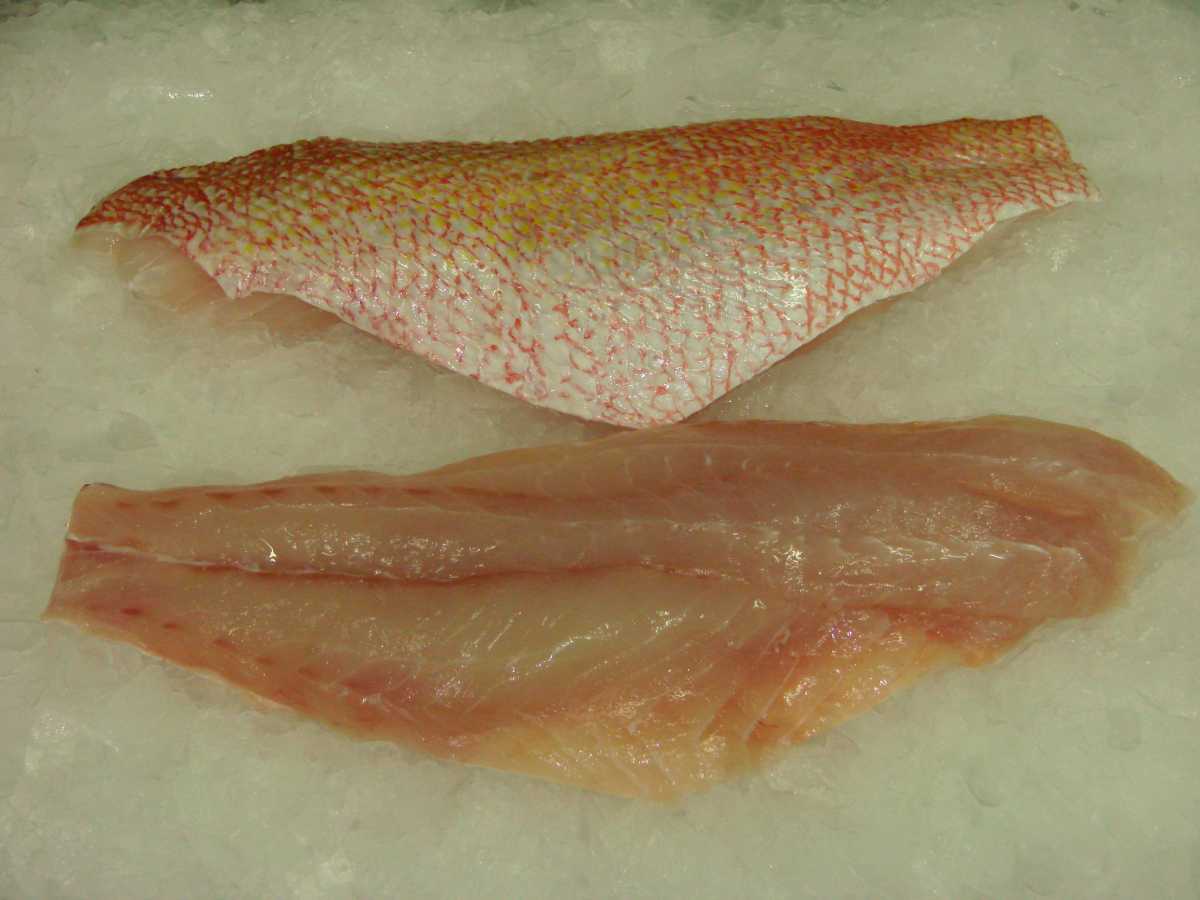 Red Snapper Fillet Skin On Bioota Equaloka